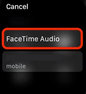 Cliquez sur Audio FaceTime