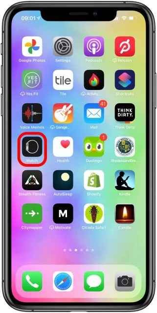 lancer l'application téléphone sur iphone pour utiliser le dock sur apple watch 